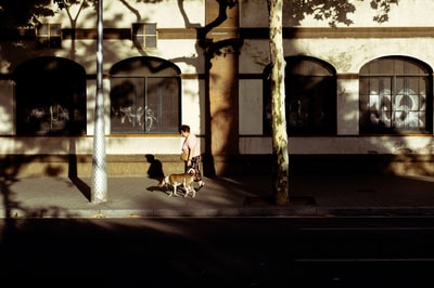 男孩和狗走在街上
